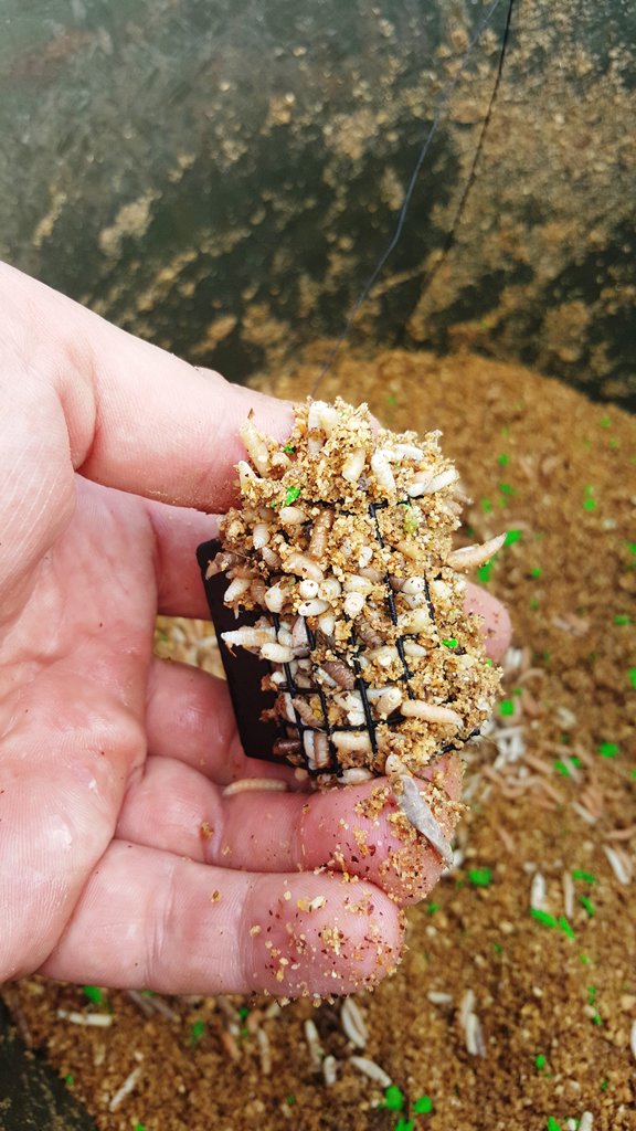 Как ловить фидером на реке летом 00003.JPG